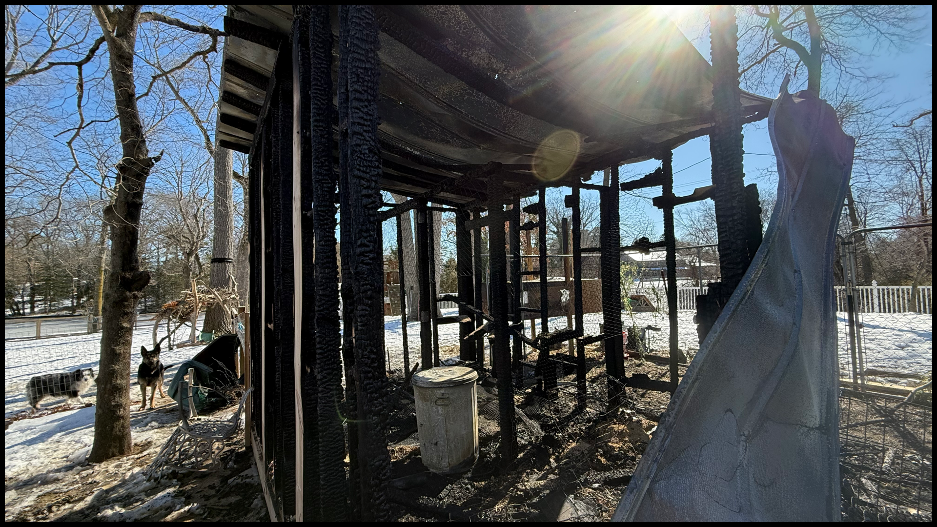 Help Us Rebuild Dragonfly Point Acres After Our Barn Fire campaign photo, 4 of 5