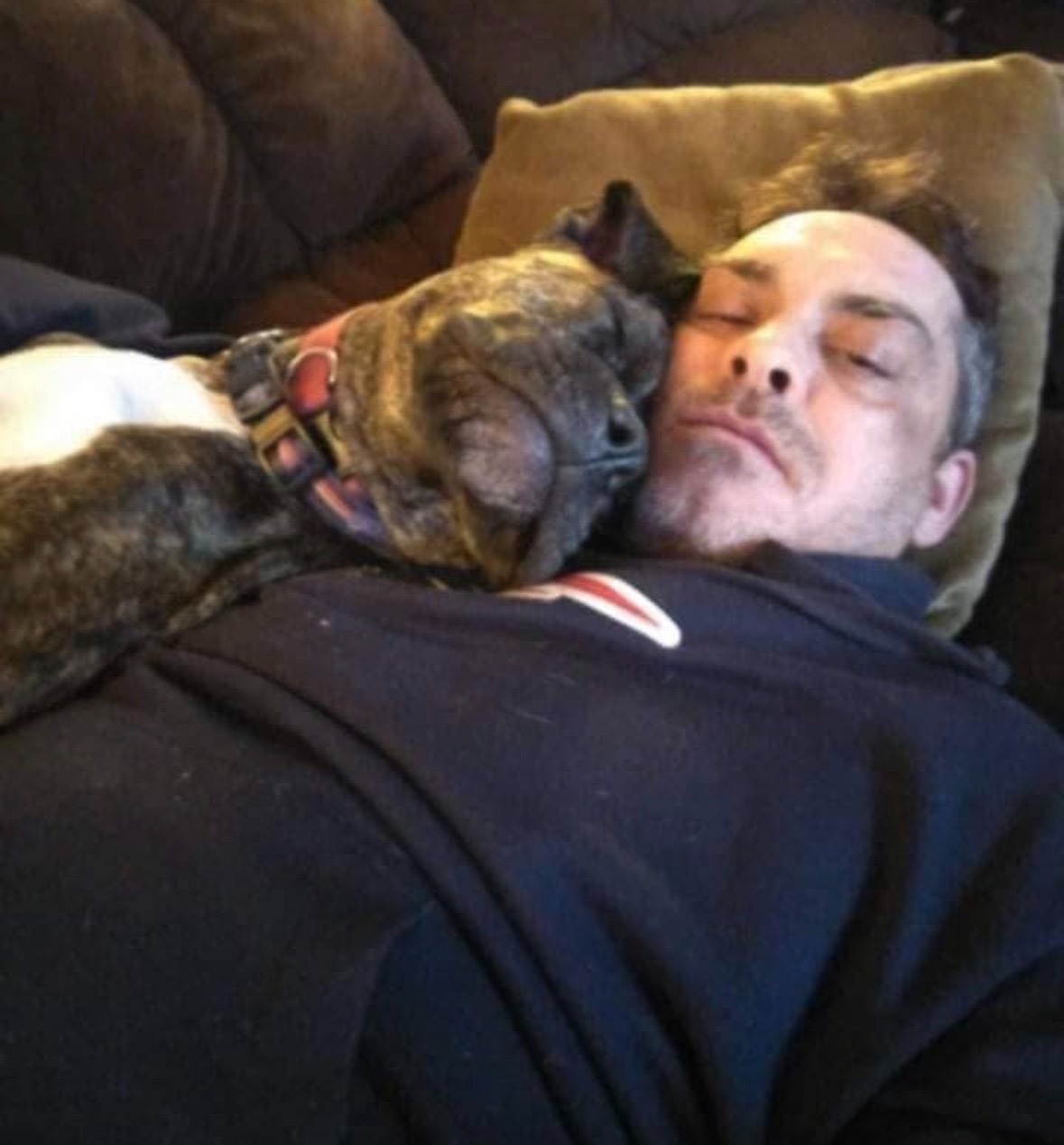 Help Save Lucy—My Best Friend Needs Emergency Care campaign photo, 2 of 8