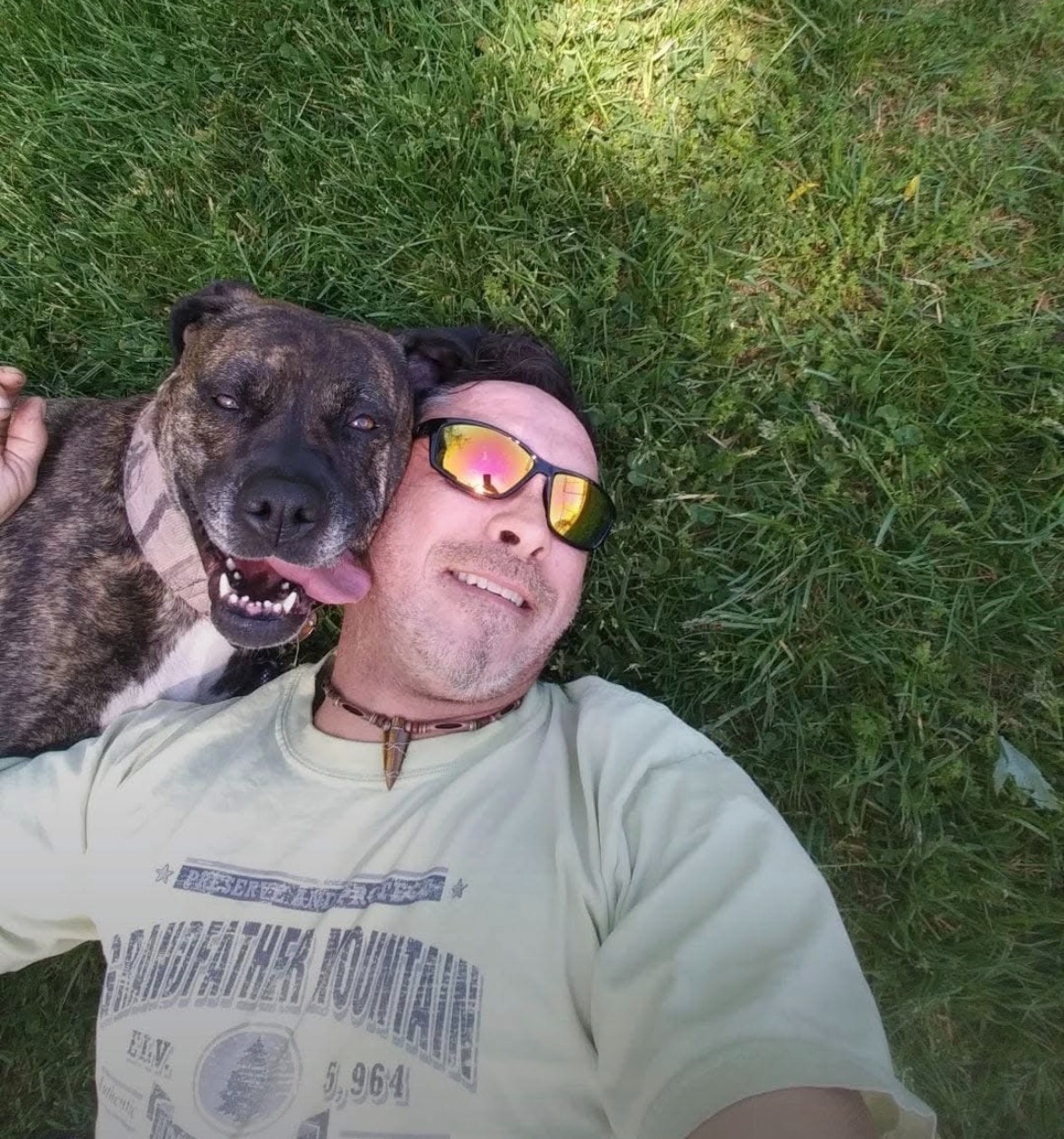 Help Save Lucy—My Best Friend Needs Emergency Care campaign photo, 6 of 8