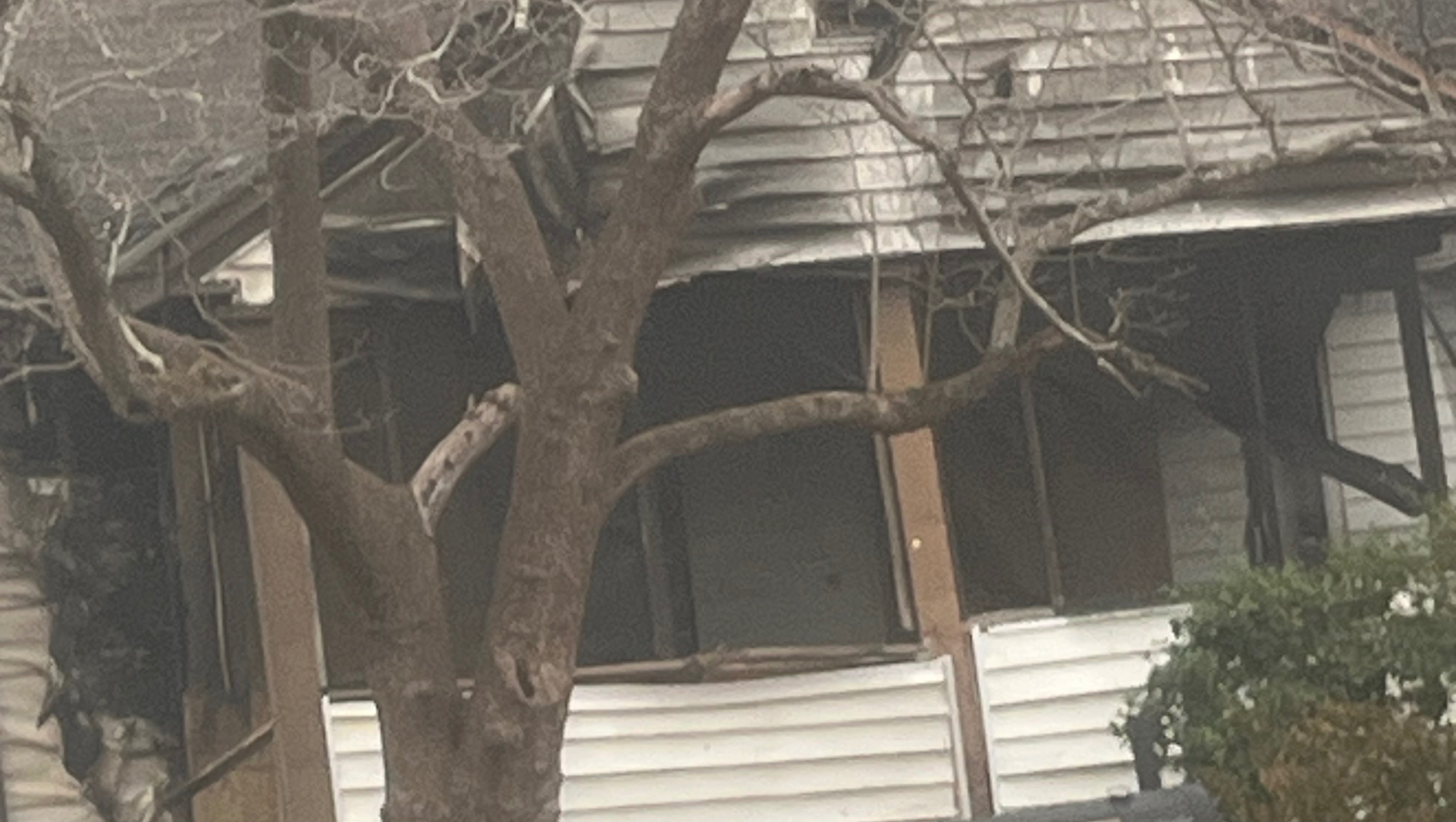 Rebuilding After the Fire: Help Us Start Again photo