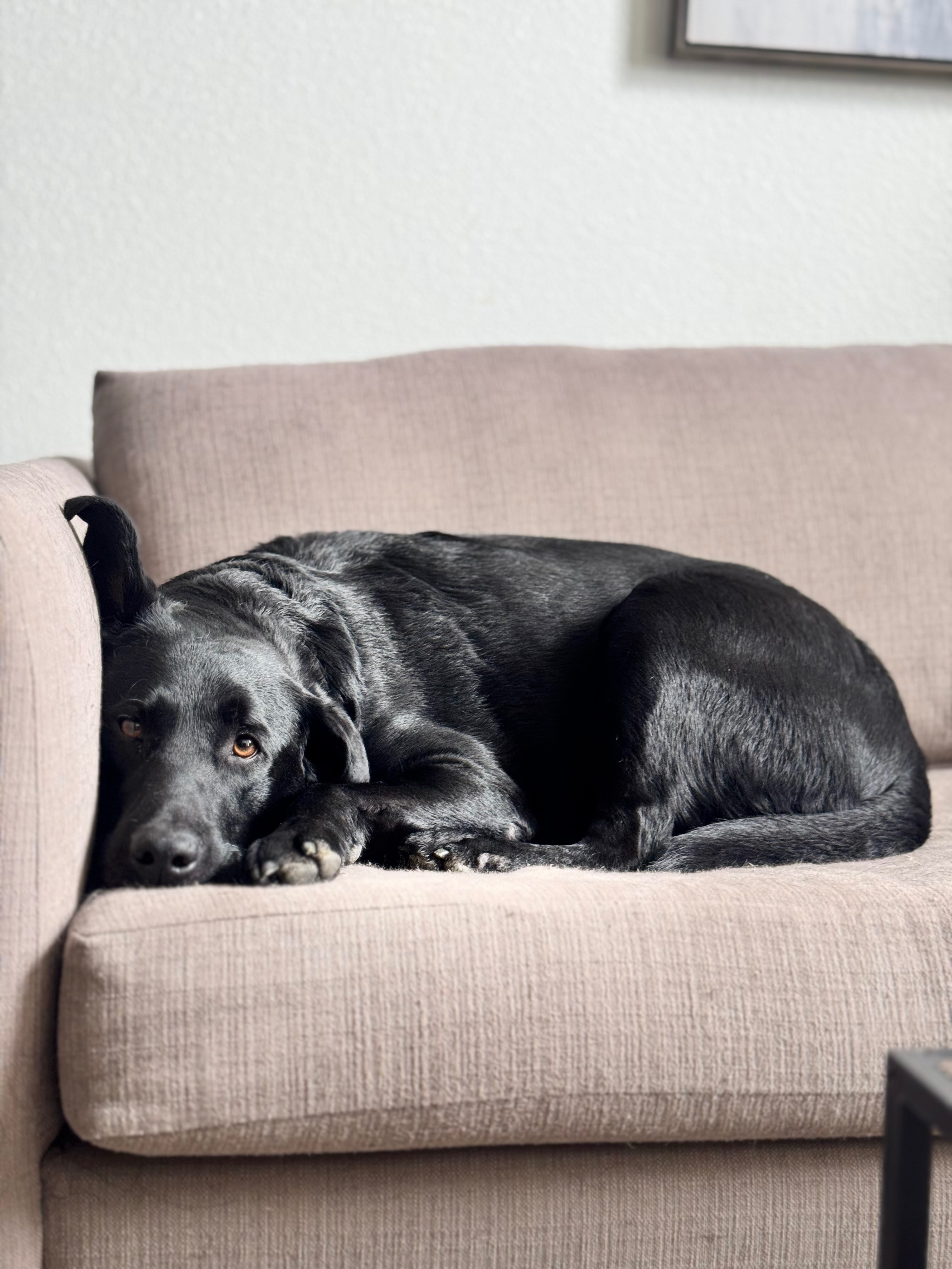 Support Rocky’s Intensive Care Recovery campaign photo, 4 of 5