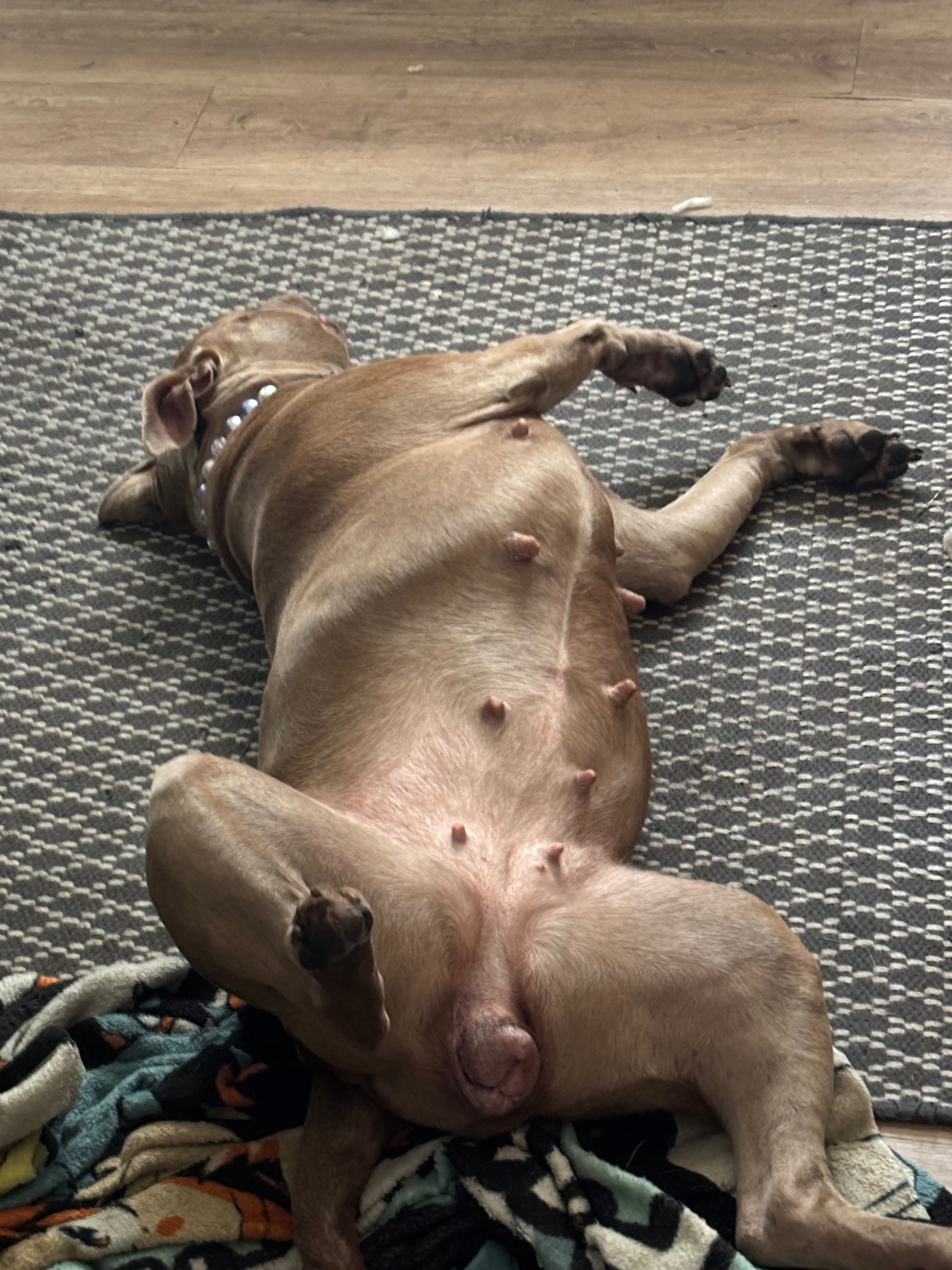 Help Margo Recover from Emergency Surgery campaign photo, 6 of 7