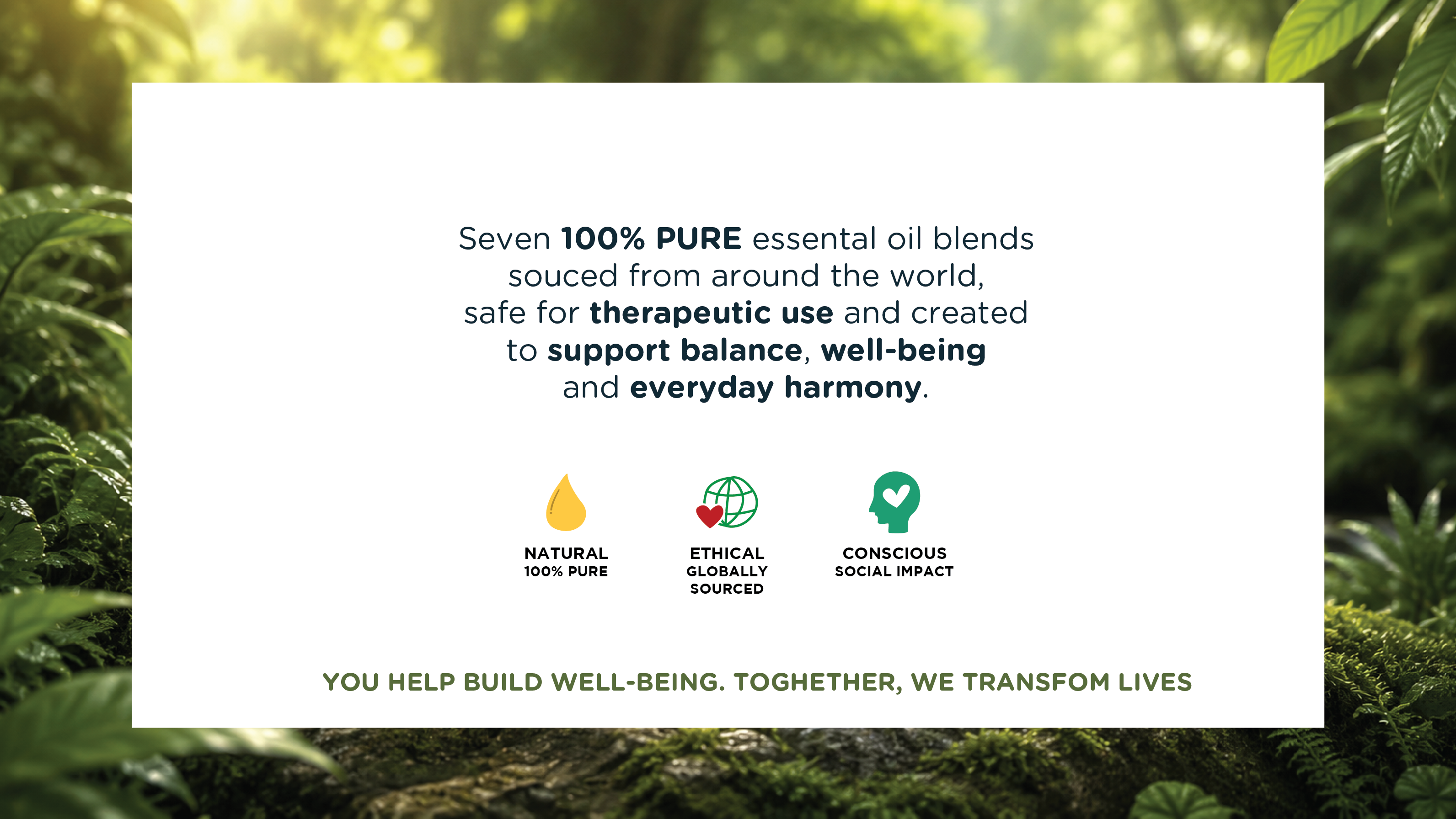 Foto da arrecadação Aromatherapy Helping People and Supporting Women, 4 de 6