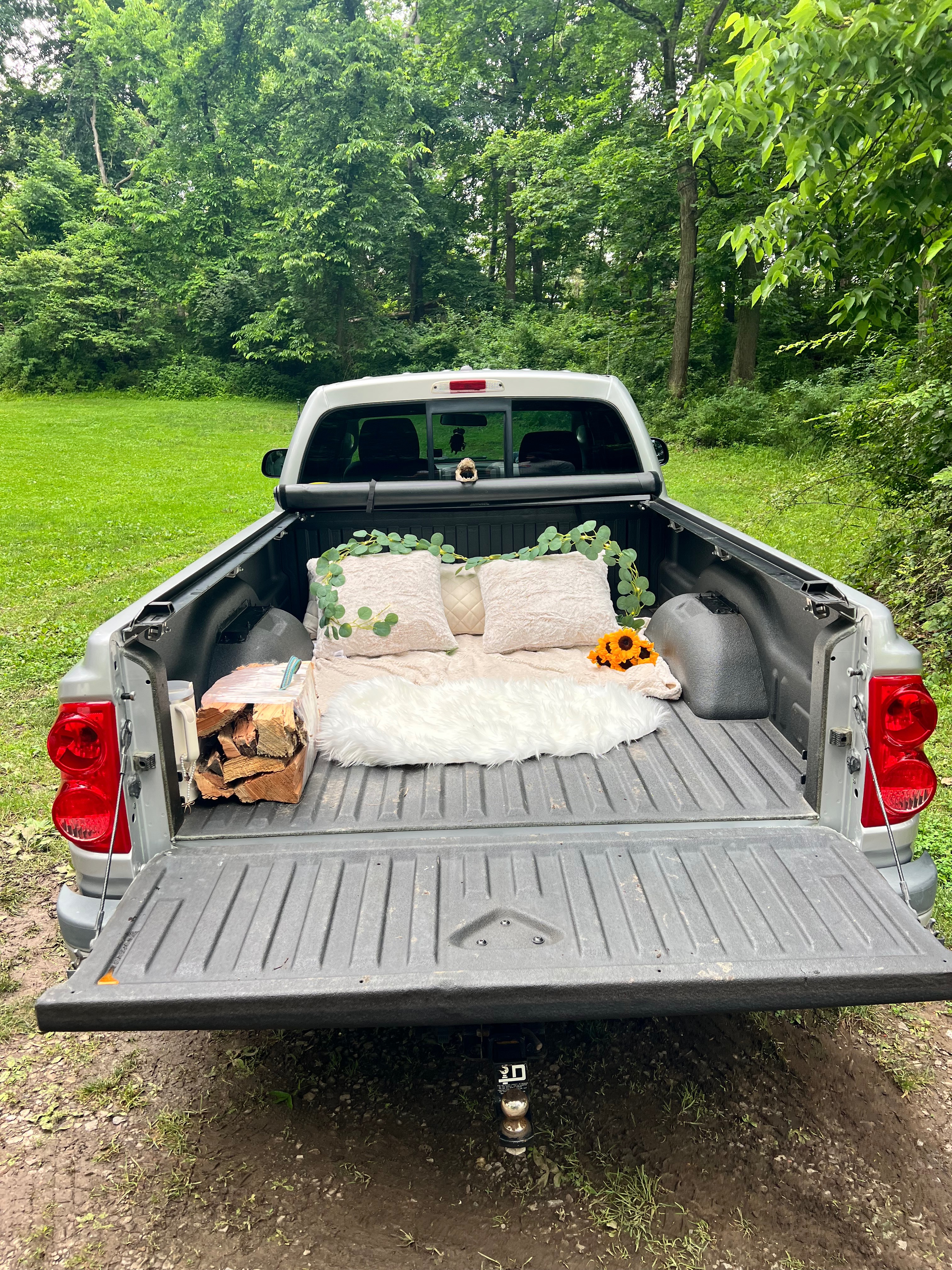 Recover stolen truck costs & protect my dog campaign photo, 5 of 6