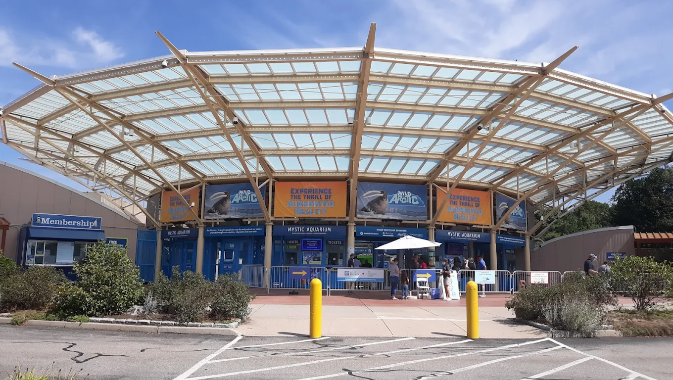 Bring Learning to Life for First Graders