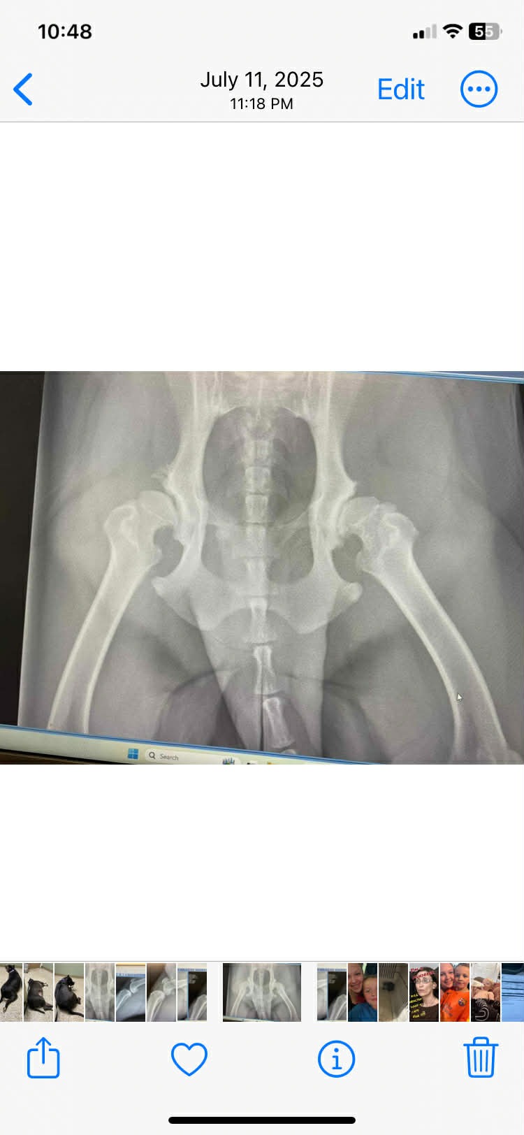 Support Poundcake’s Surgery Fund campaign photo, 5 of 8
