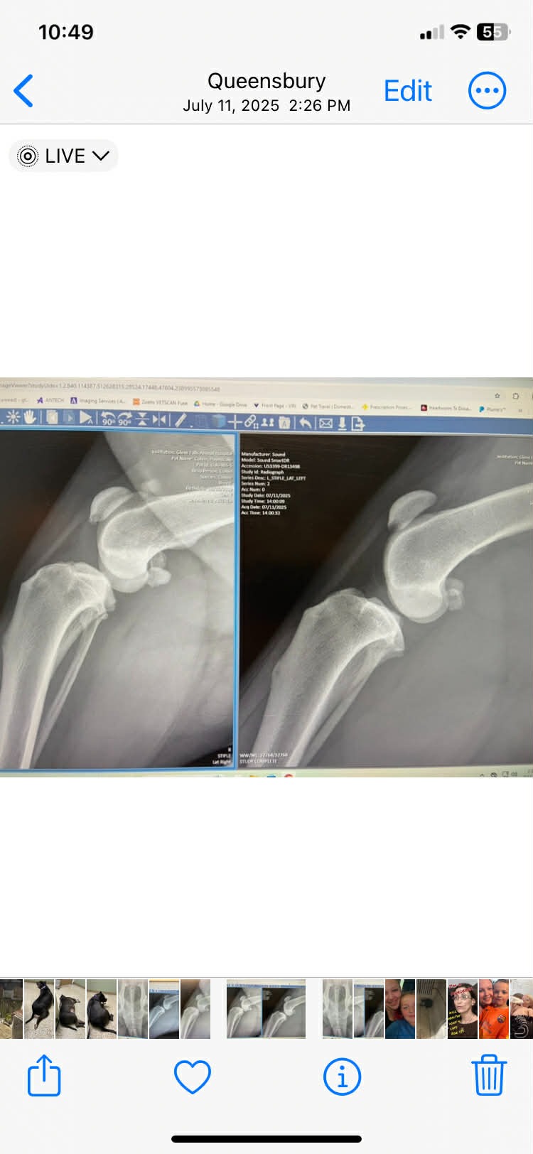Support Poundcake’s Surgery Fund campaign photo, 6 of 8