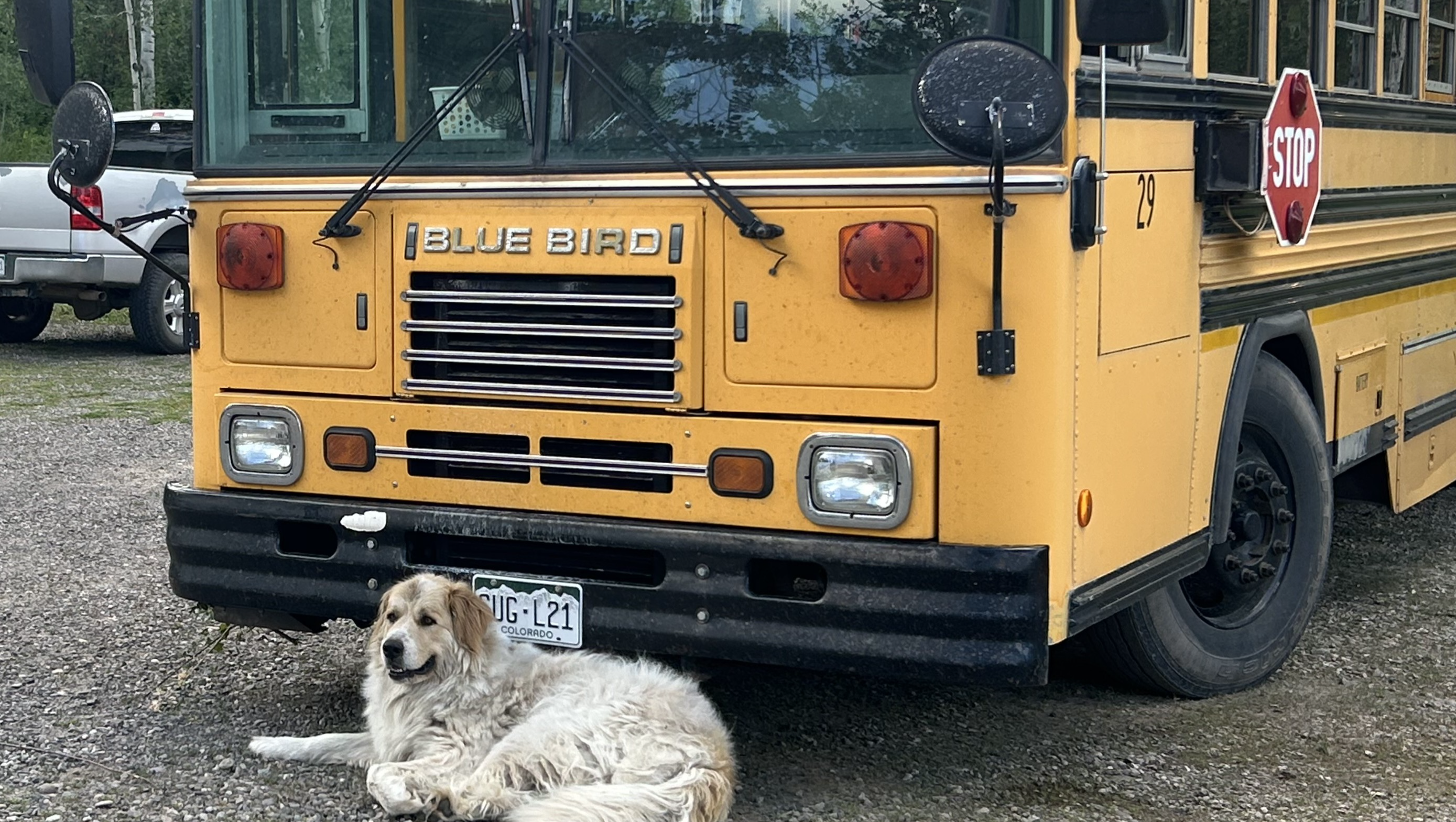 Fundraiser by Louis Nelson : Move That Bus!