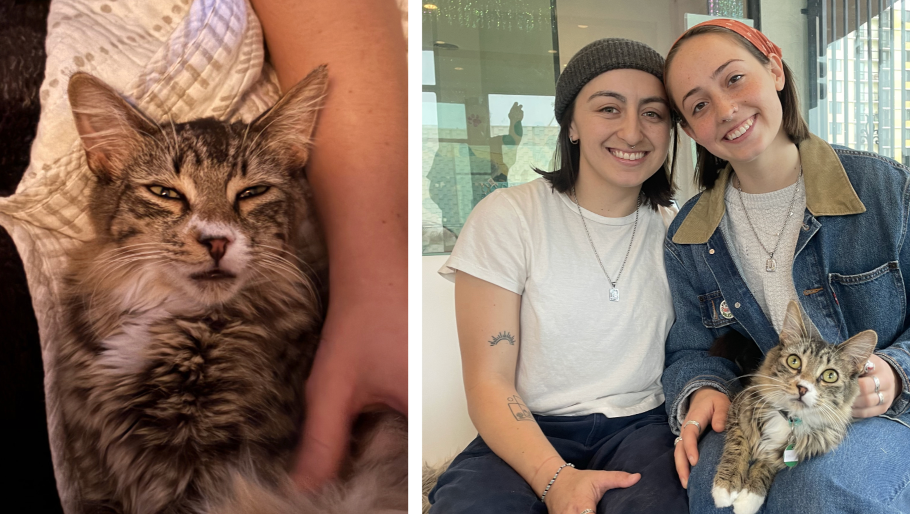 Support Lindy Boy’s FIP Recovery