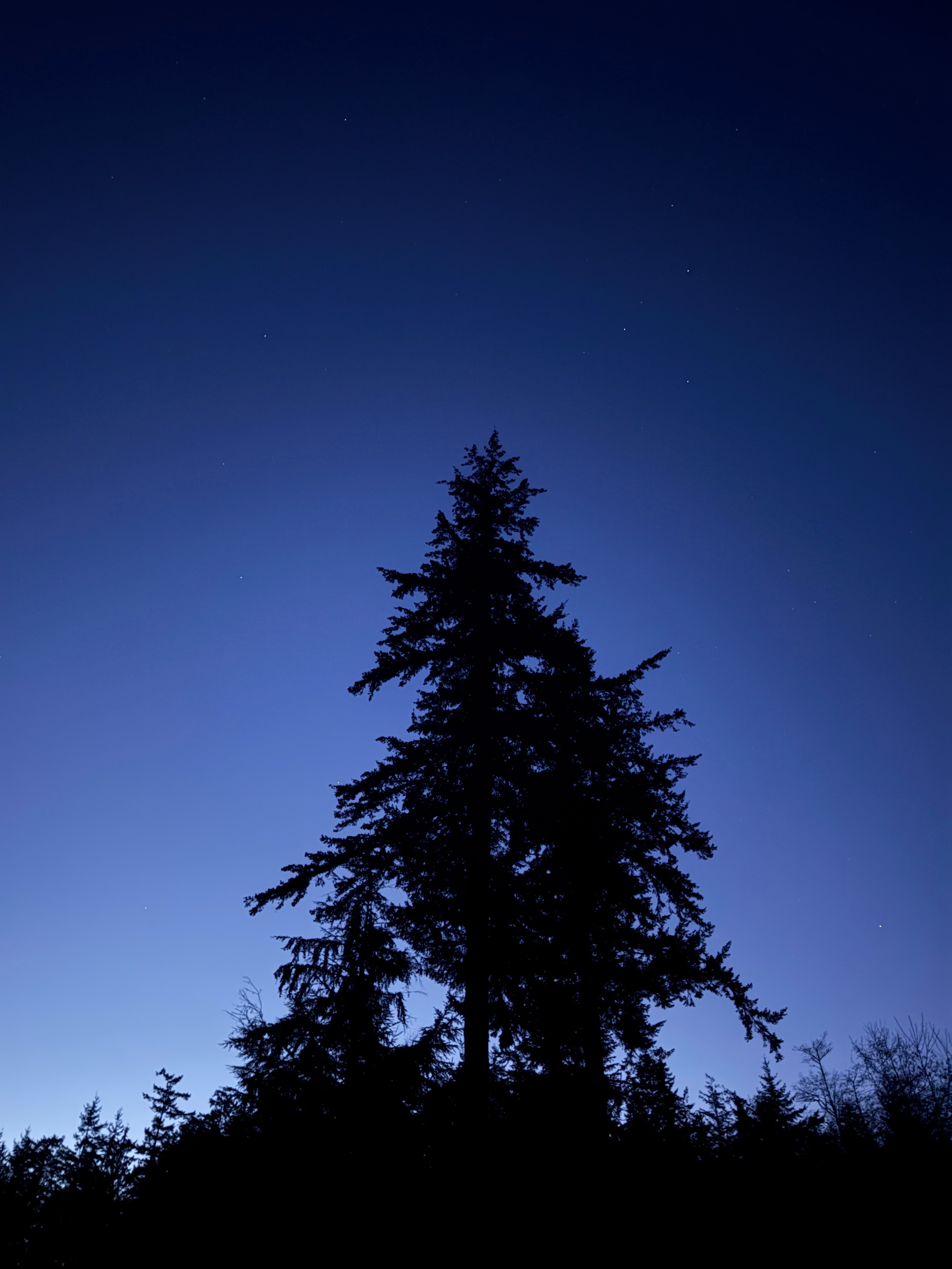 Help Mikhail Wolf Shearman Achieve His Tiny Home Dream campaign photo, 7 of 8