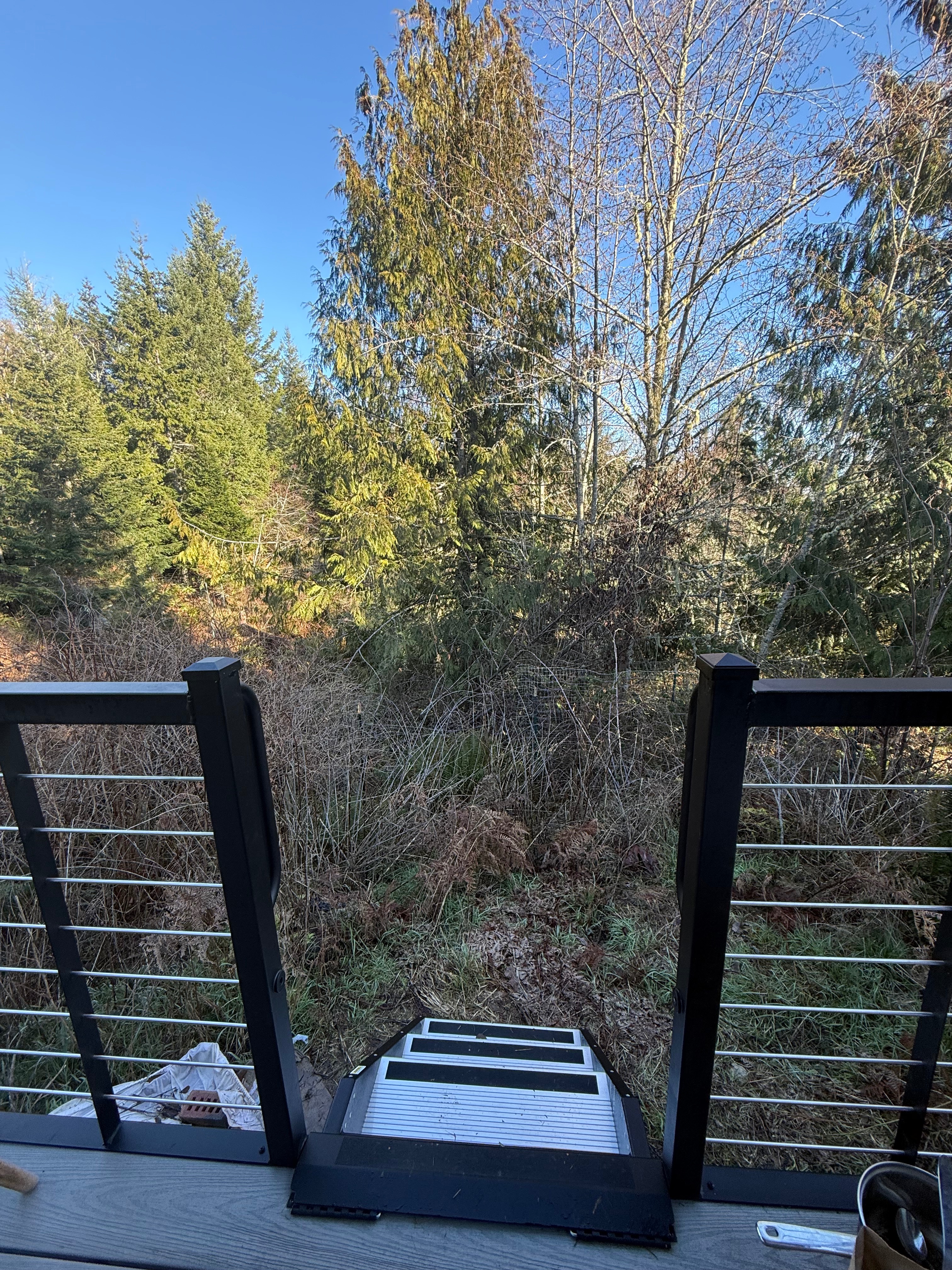 Help Mikhail Wolf Shearman Achieve His Tiny Home Dream campaign photo, 4 of 8