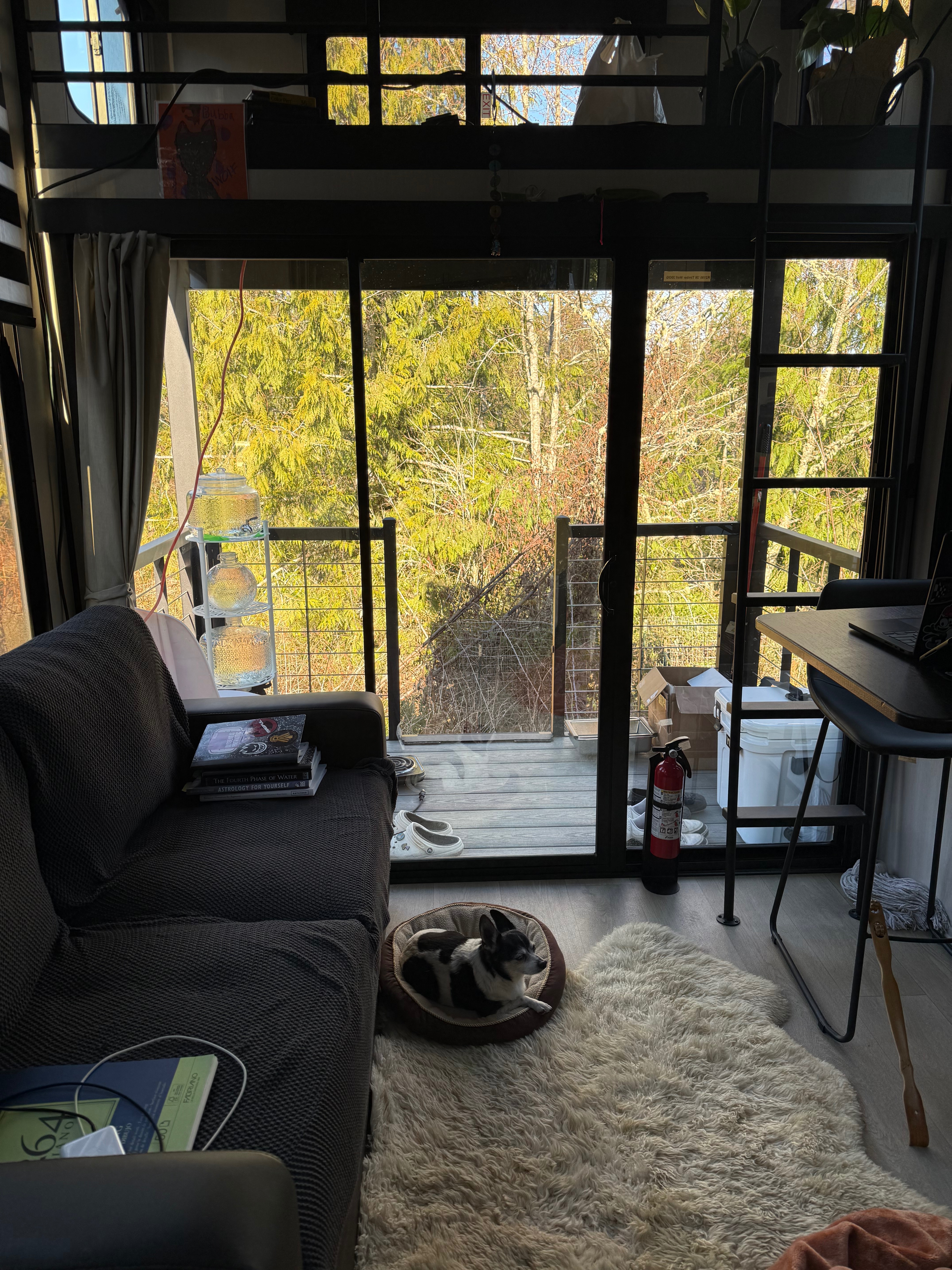 Help Mikhail Wolf Shearman Achieve His Tiny Home Dream campaign photo, 5 of 8
