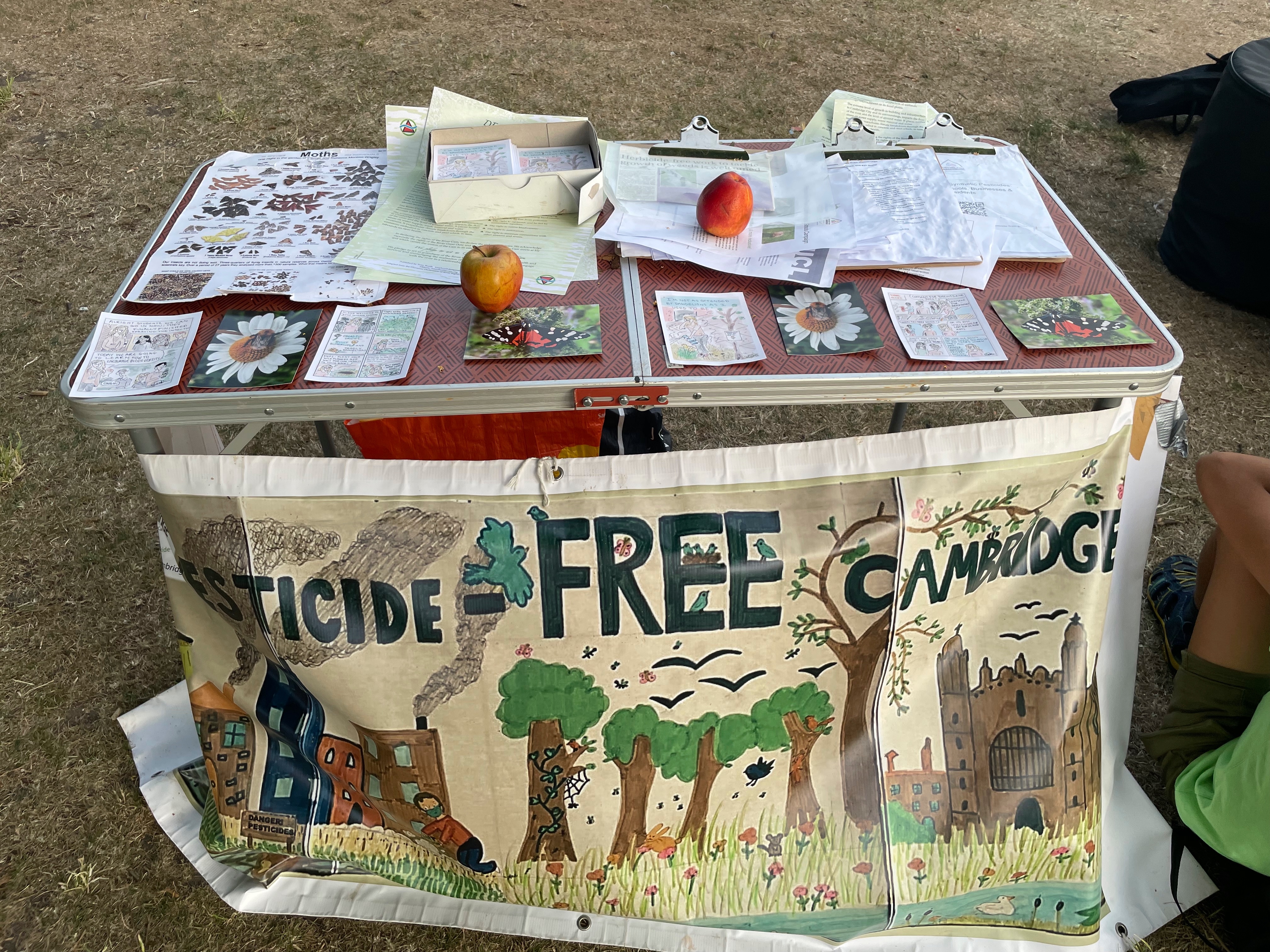 Pesticide-Free Cambridge Fundraiser campaign photo, 2 of 4